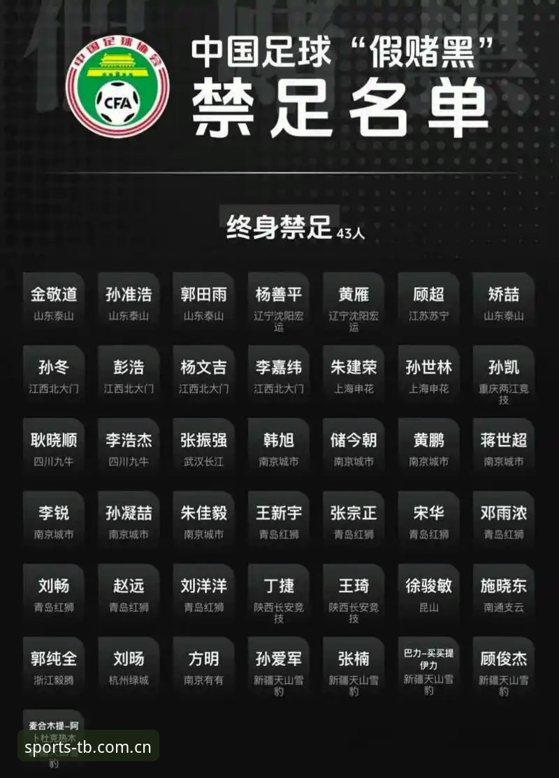 天博手机版下载推荐 从足协第三批禁足名单看体育赛事诚信体系的实用指南